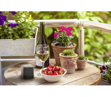 Renkforce RF-4775379