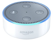 Amazon Echo Dot (2nd generation) Wit