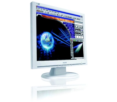 Philips 190S5FG (19", 12ms, D-sub)