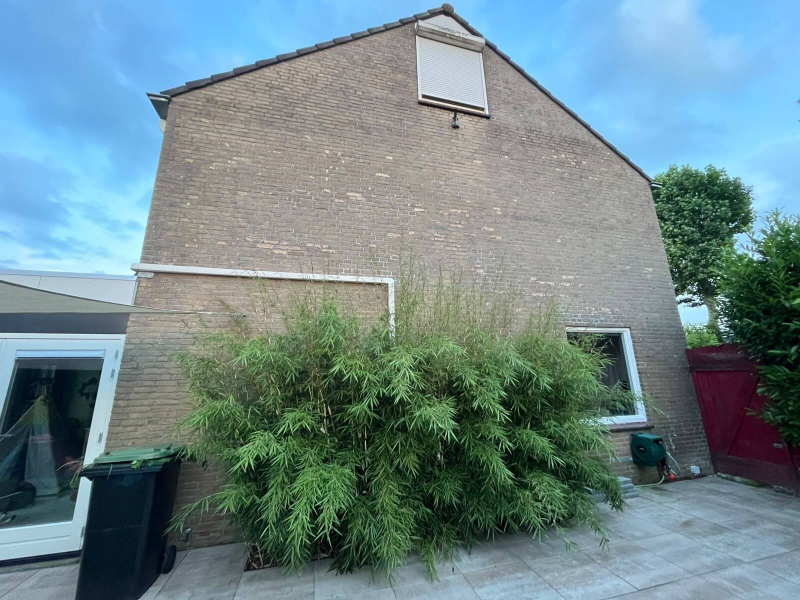 Afbeeldingslocatie: https://tweakers.net/i/dg7iy0wzhxGPUqrS2kCs6bbne44=/800x/filters:strip_icc():strip_exif()/f/image/cwJwOAS79L9mwkEgH3Chvi0c.jpg?f=fotoalbum_large
