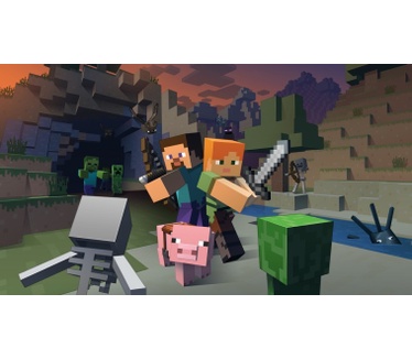 Minecraft, Wii U