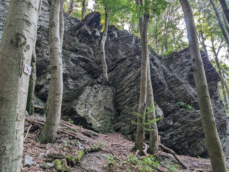 Afbeeldingslocatie: https://tweakers.net/i/diAJwdGiyXLpO1-8g5lrfNQ5vo4=/800x/filters:strip_icc():strip_exif()/f/image/6FUv2GghxW3qDhwN4Z7WZ1ff.jpg?f=fotoalbum_large