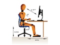 Philips lcd-monitor met ErgoSensor (241P4LRYEB)