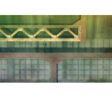A Shadow's Tale