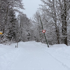 Afbeeldingslocatie: https://tweakers.net/i/dnsrC8YUQzxV2JirNpEmKbQwwnU=/232x232/filters:strip_icc():strip_exif()/f/image/tbXb1RqeyVVGXGlRUxfoOckn.jpg?f=fotoalbum_tile