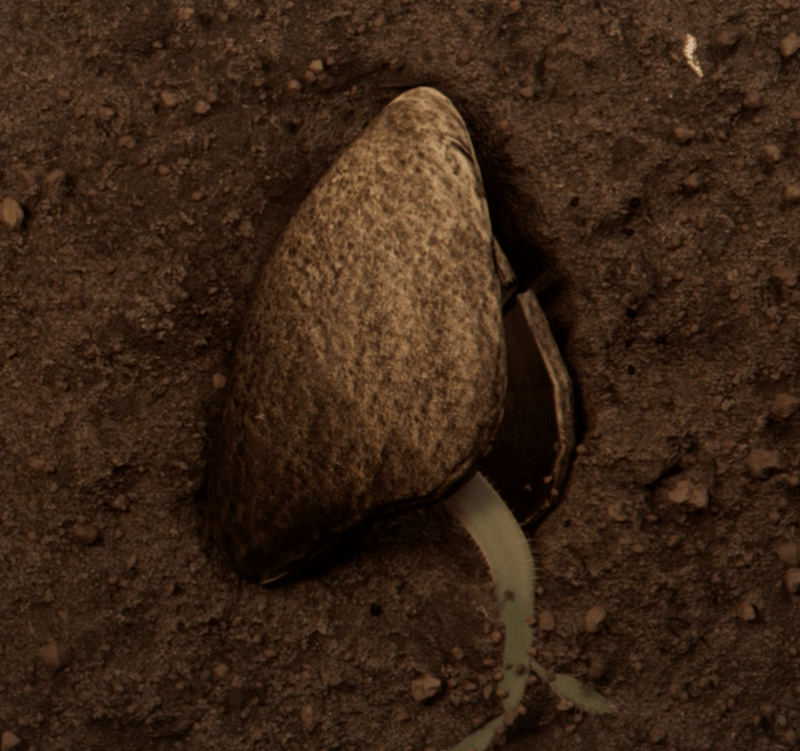 Afbeeldingslocatie: https://tweakers.net/i/doV8NrJlLbRfvX6pRU7lP4bux9E=/800x/filters:strip_exif()/f/image/q4X6QyZRxdEwHMpzB9gFsn7x.png?f=fotoalbum_large