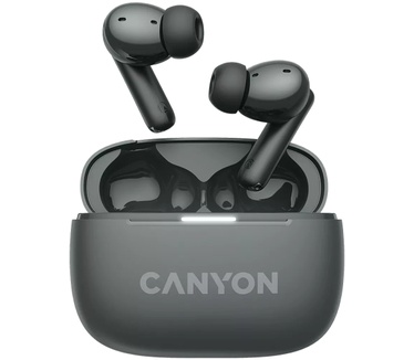 Canyon CNS-TWS10BK