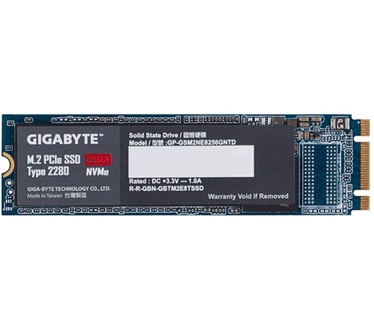 Gigabyte M.2 PCIe SSD 256GB