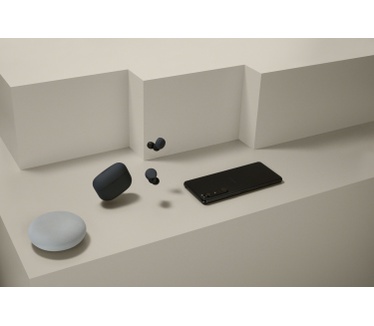 Sony LinkBuds S (Zwart)