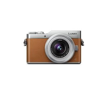 Panasonic DC-GX800 + 12-32mm f/3.5-5.6