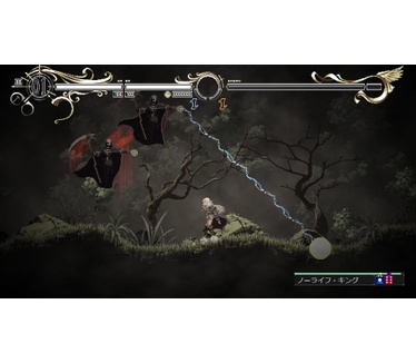 Record of Lodoss War-Deedlit in Wonder Labyrinth- (Switch)