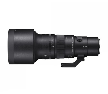 Sigma 500mm F5.6 DG DN OS | Sports