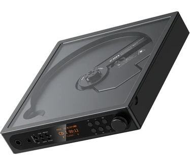 FiiO DM15 Zwart