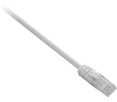 V7 Cat6 UTP
