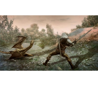 The Witcher: Rise of the White Wolf
