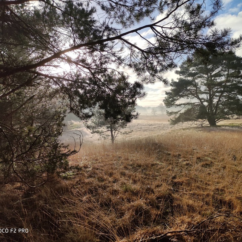 Afbeeldingslocatie: https://tweakers.net/i/e0quobJYkGeloOr0gtEjNnJdg24=/800x/filters:strip_icc():strip_exif()/f/image/8y9D9X7Sv2fRvIANqhFJtDVo.jpg?f=fotoalbum_large