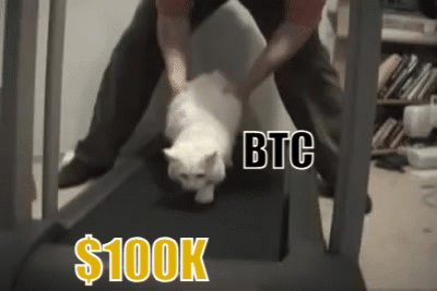 Afbeeldingslocatie: https://tweakers.net/i/e1eQlnH_Omp1Ky61aXrH8br3D7M=/fit-in/4000x4000/filters:no_upscale():gifsicle():strip_exif()/f/image/qJ5WgwPdYyLkw8Om3KSITXQd.gif?f=user_large