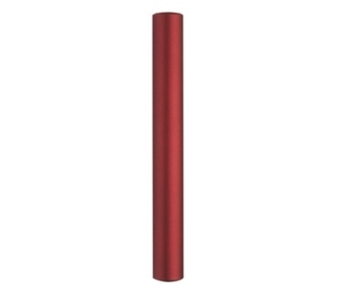 WD My Passport Elite 320GB Rood