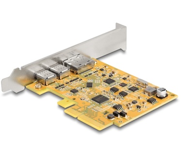 Delock 90161