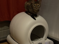 Afbeeldingslocatie: https://tweakers.net/i/e2tJ-dadysKTXf1ZpMqzngc9e8o=/234x176/filters:strip_icc():strip_exif()/f/image/7UnPassGaG8vAxHOd1R5SJd7.jpg?f=fotoalbum_medium