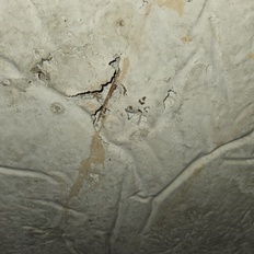 Afbeeldingslocatie: https://tweakers.net/i/e30Ogqd7yIHfGZ5Wrpg9eeIDWpI=/232x232/filters:strip_icc():strip_exif()/f/image/GdSuIF673qZrzs0Oc4AF06tc.jpg?f=fotoalbum_tile