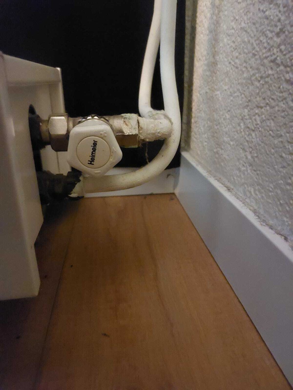 Afbeeldingslocatie: https://tweakers.net/i/e3J0o6i8A6K5iX45PYPph3mAueM=/x800/filters:strip_icc():strip_exif()/f/image/IBNoxb0Gh3OPoUzZ7N2TssAJ.jpg?f=fotoalbum_large