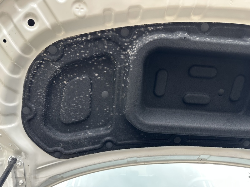 Afbeeldingslocatie: https://tweakers.net/i/e53NA_p0JFNwBNO0osQG7MpWupE=/800x/filters:strip_icc():strip_exif()/f/image/kMOsmtYjQYCDzT2mH0mcomWz.jpg?f=fotoalbum_large