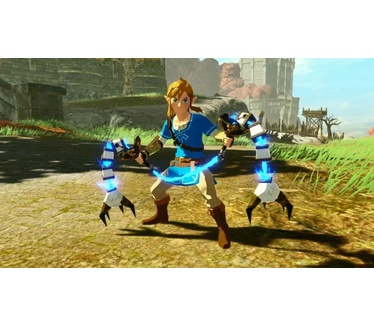 Hyrule Warriors: Age of Calamity Wave 1: Pulse of the Ancients, Switch
