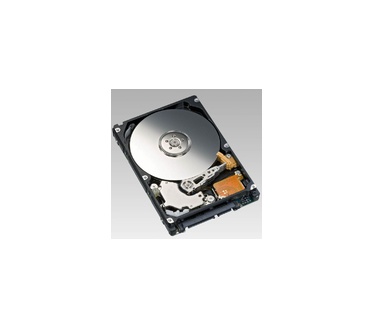 MicroStorage 160GB 2.5" SATA
