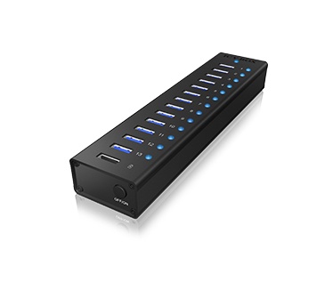 Raidsonic IB-AC6113