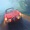 avatar van rallygek
