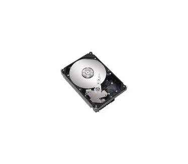 Maxtor DiamondMax 21 STM3160215AS, 160GB