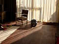 Nikon P6000 sample
