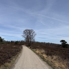 Afbeeldingslocatie: https://tweakers.net/i/eOdMd80zxZ-yMQStElZ1UOplGcY=/232x232/filters:strip_icc():strip_exif()/f/image/gR5i6TrhDNwOUgHa6zeWd1uW.jpg?f=fotoalbum_tile