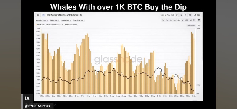 Afbeeldingslocatie: https://tweakers.net/i/eU70tfzUBNNCH3vLPykLfZk3Z2o=/800x/filters:strip_icc():strip_exif()/f/image/JLI4AGhXvDsU8TNbQ26knz0k.jpg?f=fotoalbum_large
