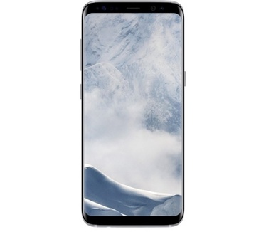 Samsung S8+ Zilver