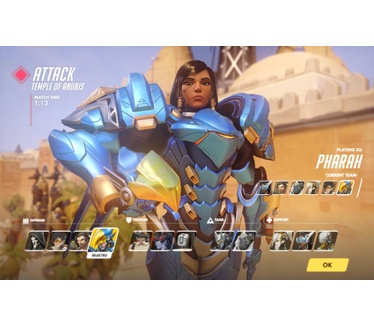 Overwatch Collector's Edition, Windows