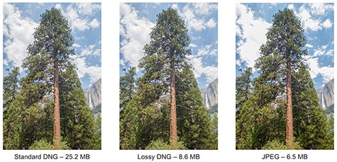 Adobe lossy dng specficatie