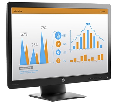 HP ProDisplay P232