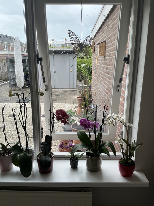 Afbeeldingslocatie: https://tweakers.net/i/eY9mEByjxccJPhD3bD7GctpJ5H4=/x800/filters:strip_icc():strip_exif()/f/image/ZAcEaOVjcGajspeAfu1OrRPU.jpg?f=fotoalbum_large