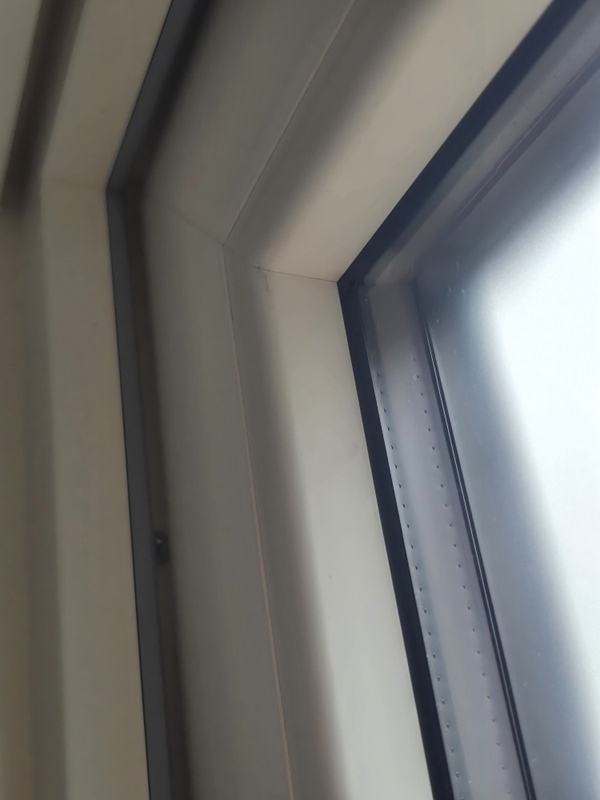 Afbeeldingslocatie: https://tweakers.net/i/eYmFJUjP8KTHe6fXNJh2SpPwgdo=/x800/filters:strip_icc():strip_exif()/f/image/iWgc7RuRTBxkFz9I6LrwuWep.jpg?f=fotoalbum_large