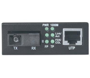 Intellinet 545068