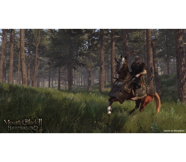 Mount & Blade II: Bannerlord, PC (Windows)