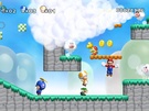 New Super Mario Bros Wii