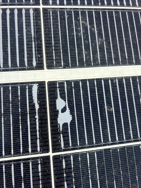 Afbeeldingslocatie: https://tweakers.net/i/ebWG1H9gGk9xLVl4TIu8flahqPY=/x800/filters:strip_icc():strip_exif()/f/image/sRj8p71rVw7XPxPFCaM0pbIt.jpg?f=fotoalbum_large