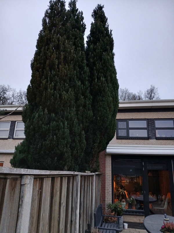 Afbeeldingslocatie: https://tweakers.net/i/ebdIcDGz1D6s0-scFzKMhEXc-YA=/x800/filters:strip_icc():strip_exif()/f/image/DX0lGN1lRDAiYe88hFS9zIiF.jpg?f=fotoalbum_large