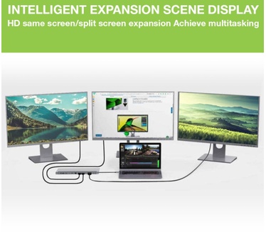 Techly IUSB31C-DOCK12DPHD