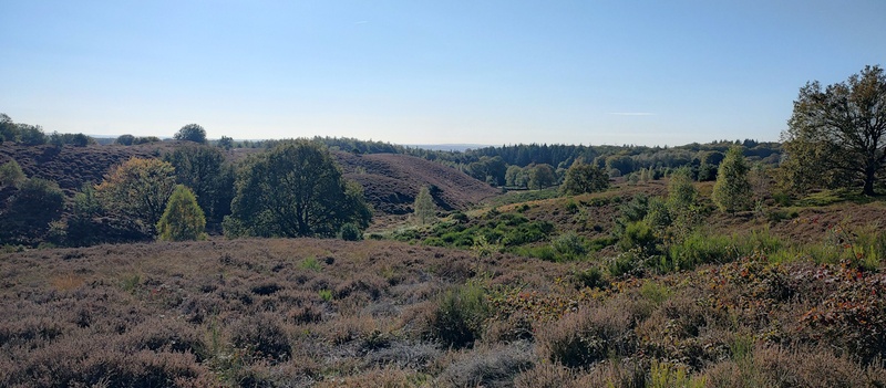 Afbeeldingslocatie: https://tweakers.net/i/edqonRY8CtKxu5r5kNiIi95JHF0=/800x/filters:strip_icc():strip_exif()/f/image/lO61LVQcPGnzPiCzsWpS1jw1.jpg?f=fotoalbum_large