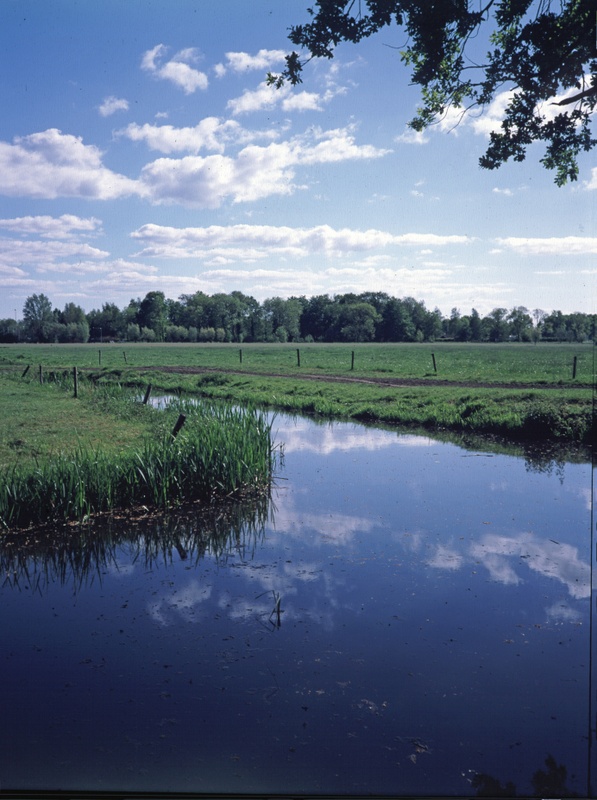 Afbeeldingslocatie: https://tweakers.net/i/efFGTrdCTqSADuv64P_F-xtIhIE=/x800/filters:strip_icc():strip_exif()/f/image/W3TfuidJDu5Y5rtlTjLLRw96.jpg?f=fotoalbum_large