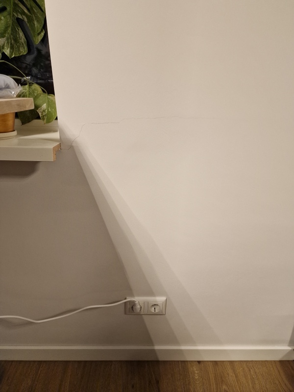 Afbeeldingslocatie: https://tweakers.net/i/ehEG6Ji0yOB0q_54fGftHpcPxHc=/x800/filters:strip_icc():strip_exif()/f/image/SQaJNkryWQWiZti0WppiJCRi.jpg?f=fotoalbum_large